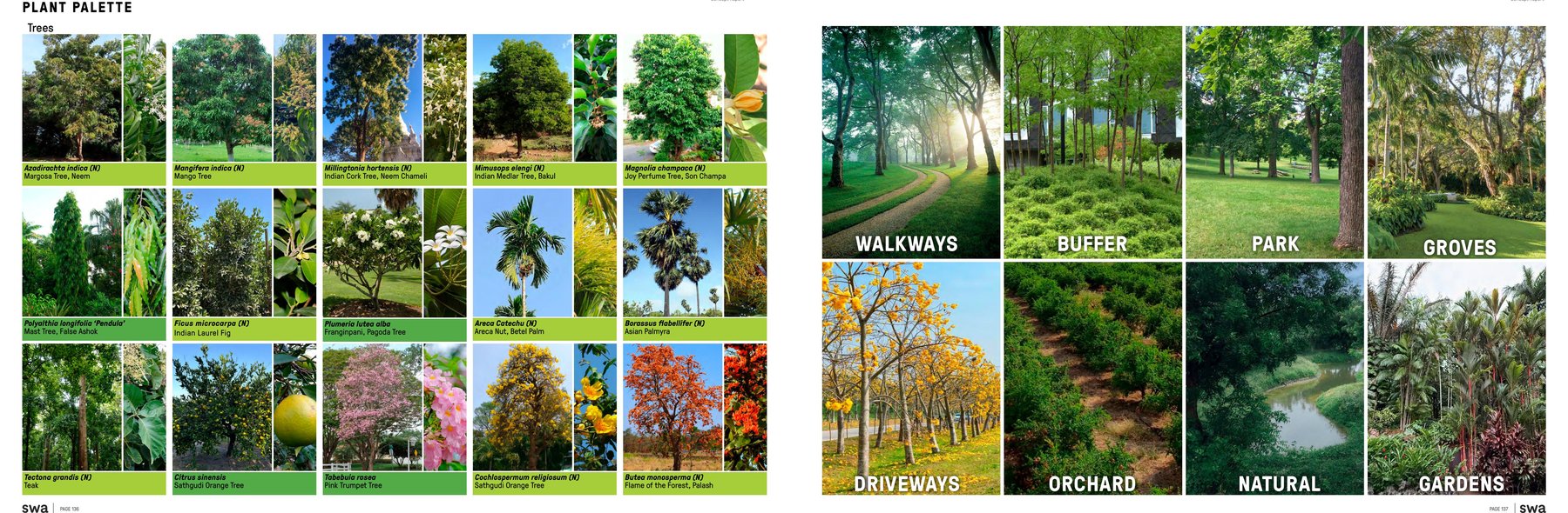 Native plant palette reference for Midori Vikarabad